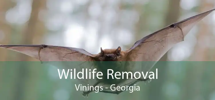 Wildlife Removal Vinings - Georgia