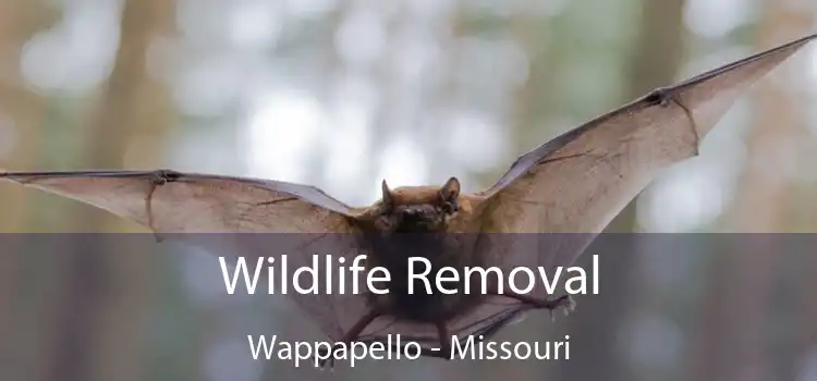 Wildlife Removal Wappapello - Missouri