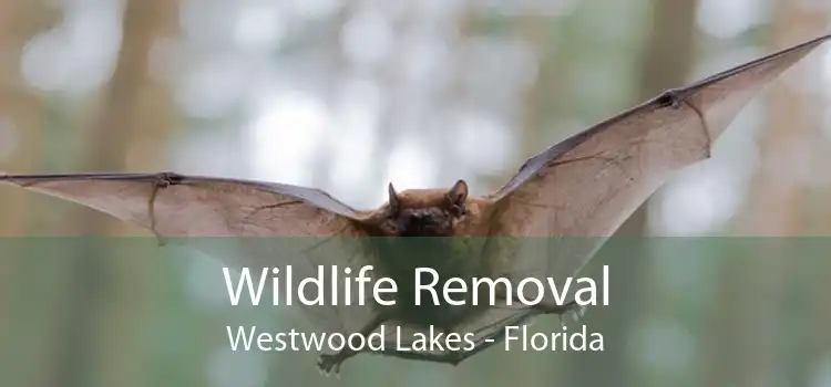 Wildlife Removal Westwood Lakes - Florida