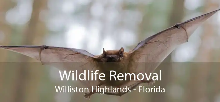 Wildlife Removal Williston Highlands - Florida